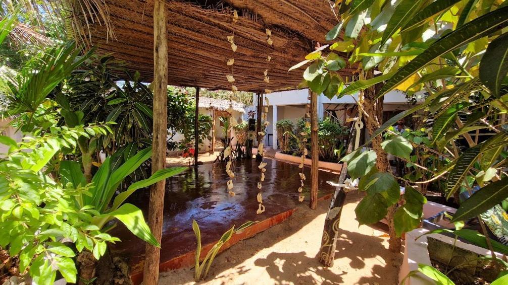 קיזימקזי Caveman Lodge מראה חיצוני תמונה